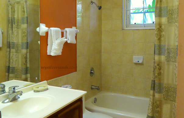 Jamaican Bathroom Designs - pani bathroom design idea